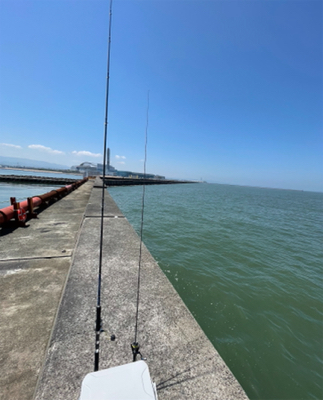 ショアジグハマチ