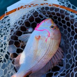 友人とボート釣行、ジギングでスズキ‼︎