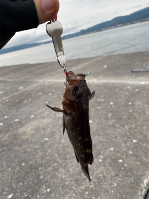 今シーズン初の沖堤！