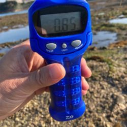 今シーズン初アオリ