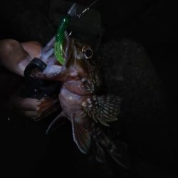 本日、スーパームーン・皆既月食・大潮！