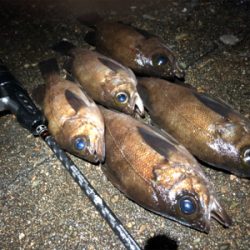 スーパームーンメバリング