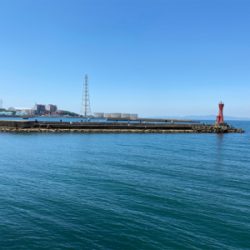 キス、五目釣り