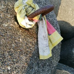 ワームでカサゴ2匹！