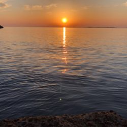デカ梅雨メバル