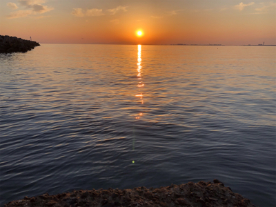 デカ梅雨メバル