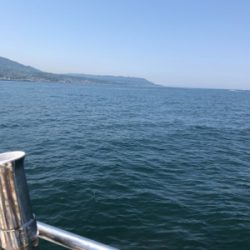 オクトパッスィング