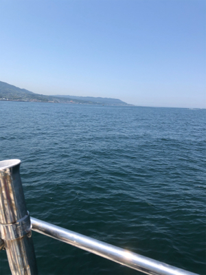 オクトパッスィング