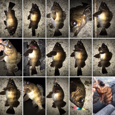 2021ライトゲーム第16戦