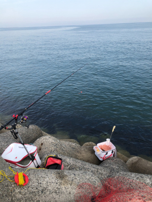 テトラからチヌ&グレ