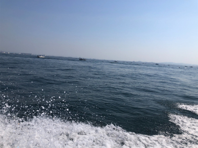 今年初のタコ釣り