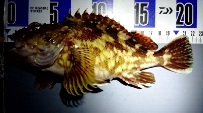 こんなところに…