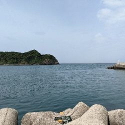 青物釣れるわぁ(笑)