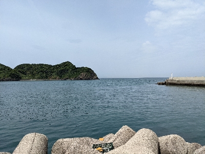 青物釣れるわぁ(笑)