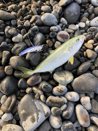 初青物‼︎小物ラッシュ！