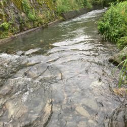 今日も今日とて