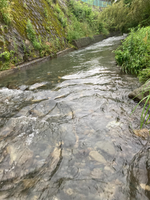 今日も今日とて