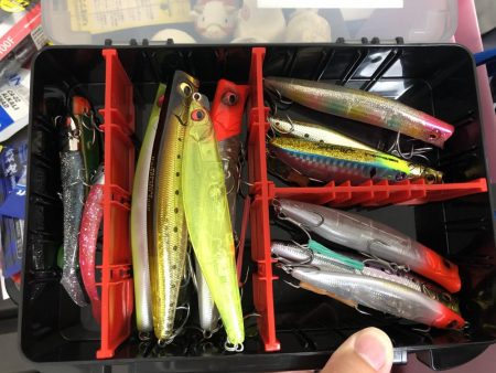 バチ抜け狙いで、、、