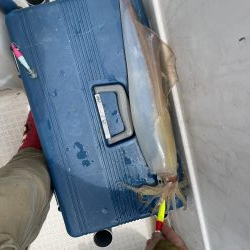 真昼間のイカメタル＆ジギング 釣行