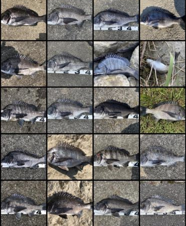 イチノ兄弟、釣果！