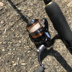 パワーグラブでガシラ釣り