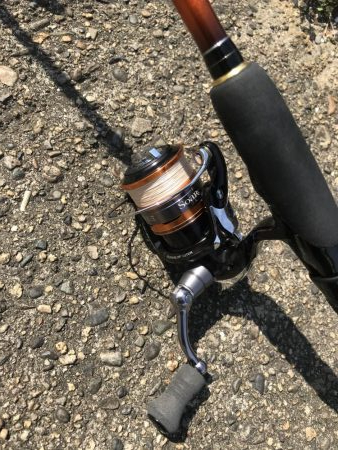 パワーグラブでガシラ釣り