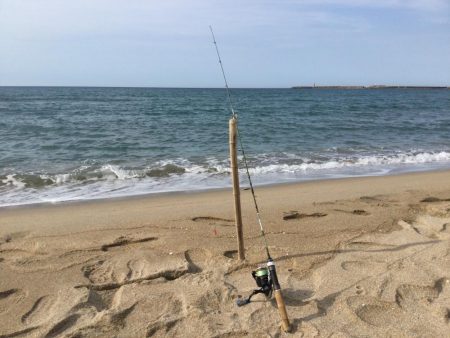 ちょい投げキス釣り調査