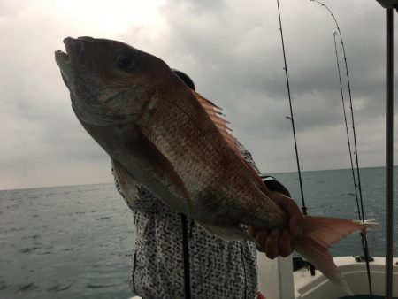 爆爆 大鯛祭り‼️ 清水港 大宝丸