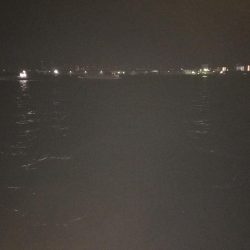 今日も底物だけ…