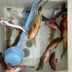 マイボートで午前中釣行