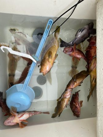 マイボートで午前中釣行