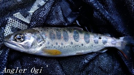 いつもとは違う場所で夕方に