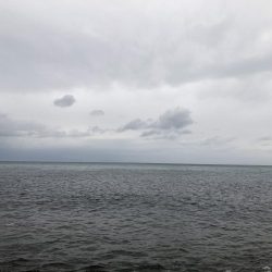 風裏ゴロタフロート