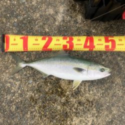 誰もいない波止場で根性決めた