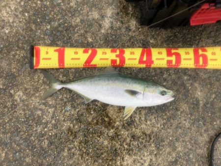 誰もいない波止場で根性決めた