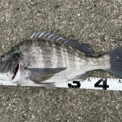 イチノ兄弟、釣果！