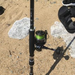 淡路は魚種多彩