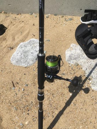 淡路は魚種多彩