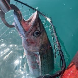 はじめてのカヤックフィッシング