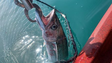 はじめてのカヤックフィッシング