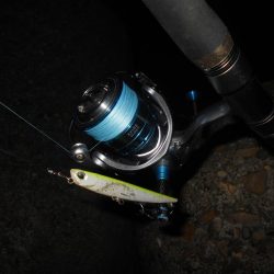 5/13バチパターン調査