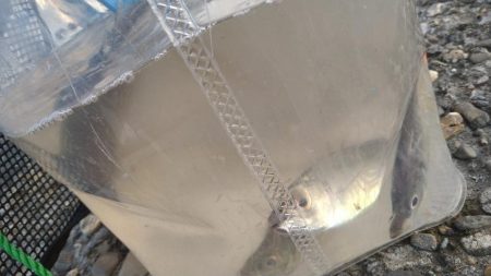 スーパームーン