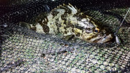 上げのシャローエリア