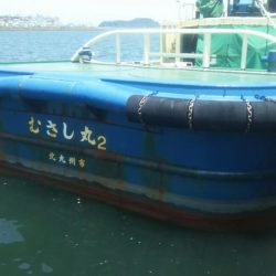 【苅田南港】春のシーバス調査 ~続き