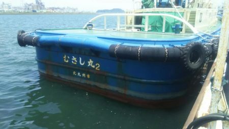 【苅田南港】春のシーバス調査 ~続き