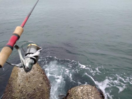 フラットとフラット