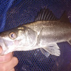 そろそろおわりかな?