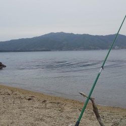 シロギスちょい投げ