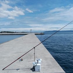 白灯台波止のキス調査