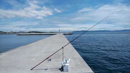 白灯台波止のキス調査